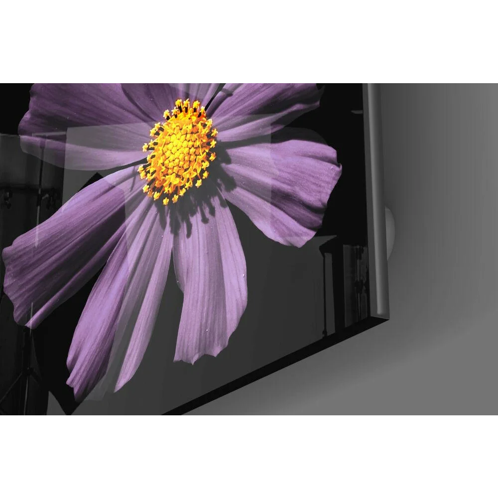 Vibrant purple cosmos flower glass wall art on modern monitor