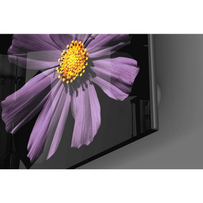 Vibrant purple cosmos flower glass wall art on modern monitor