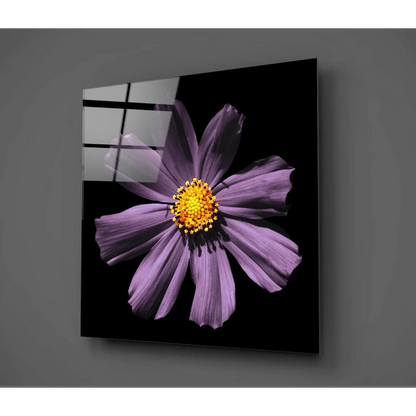 Stunning purple cosmos flower glass wall art on black panel