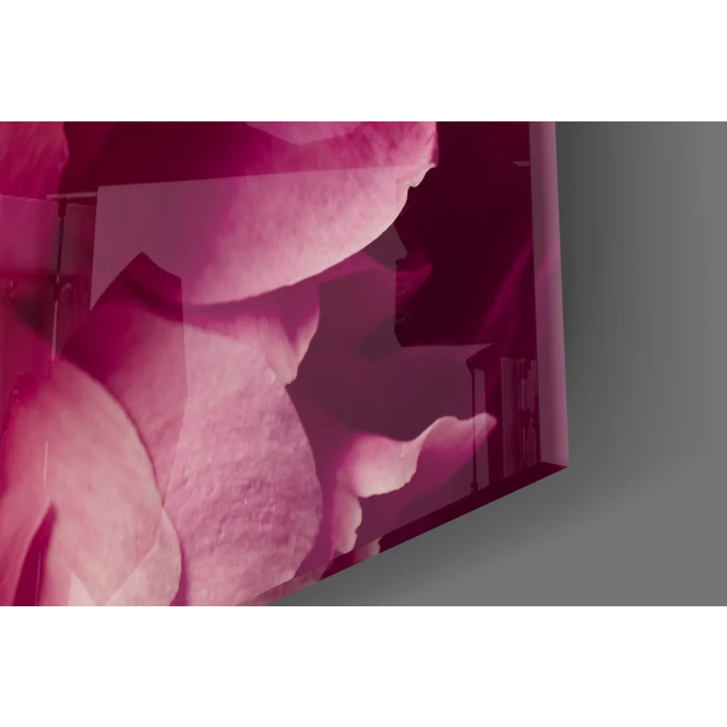 Vibrant magenta rose glass wall art print on sleek acrylic panel