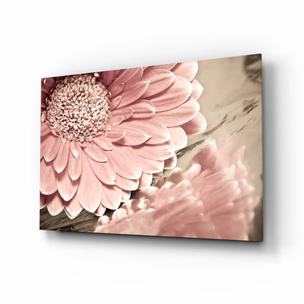 Pink gerbera daisy canvas wall art with textured petals