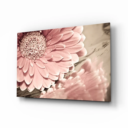 Pink gerbera daisy canvas wall art with textured petals
