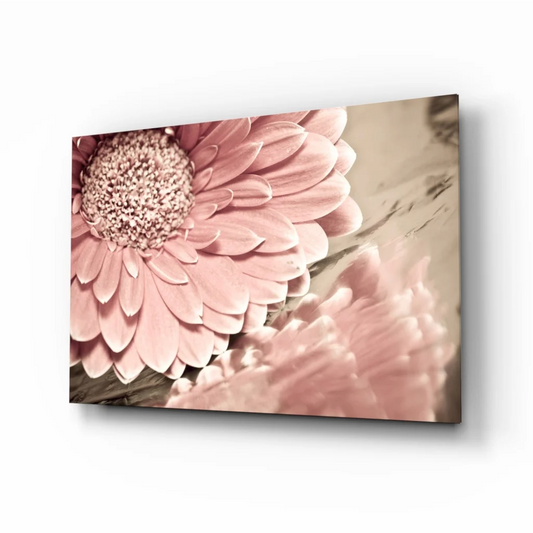 Pink gerbera daisy canvas wall art with textured petals