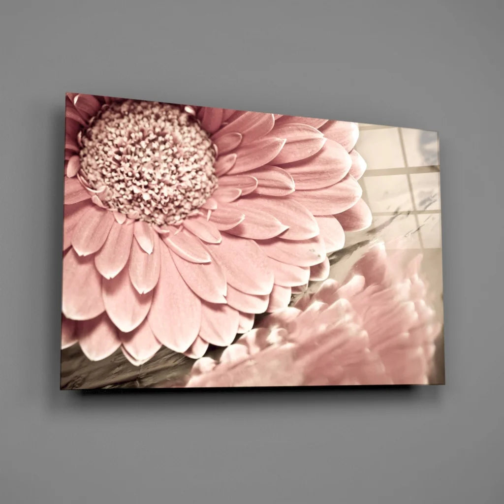 Pink gerbera daisy canvas wall art with textured petals