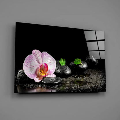 Vibrant pink orchid on black stones in zen garden wall art