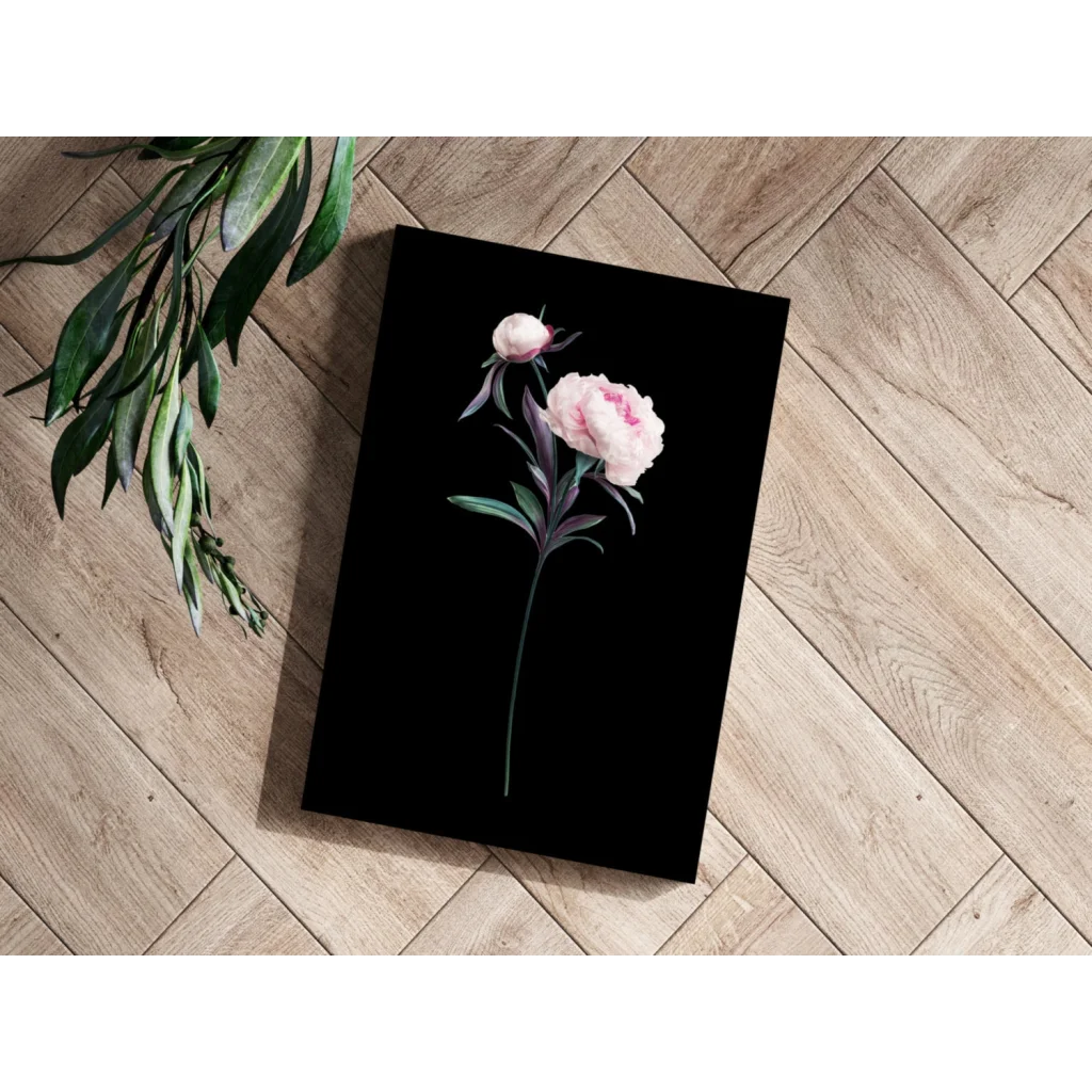 Delicate pink peony with green stem on black canvas aluminum print