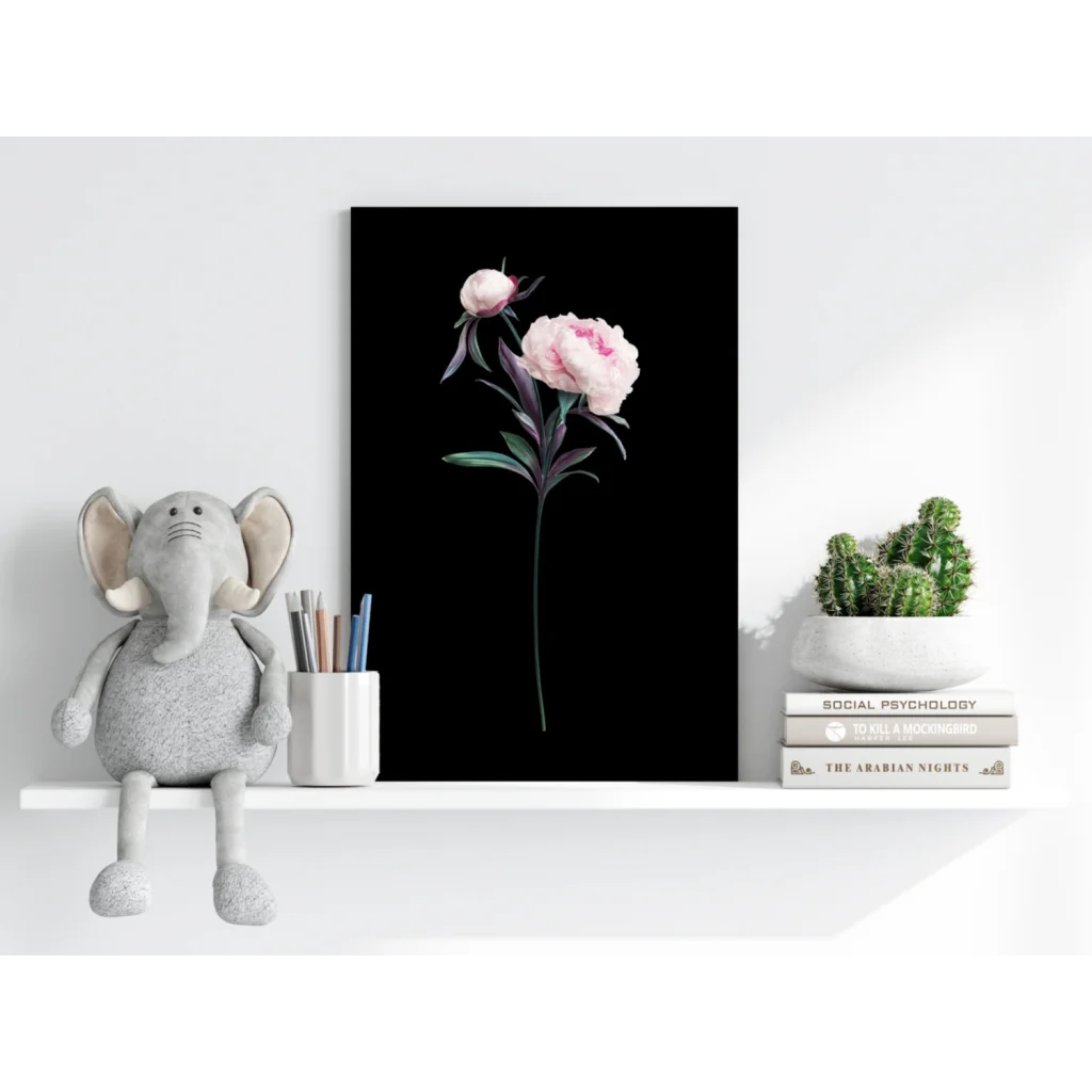 Delicate pink peony with green leaves on black canvas aluminum print