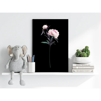 Delicate pink peony with green leaves on black canvas aluminum print