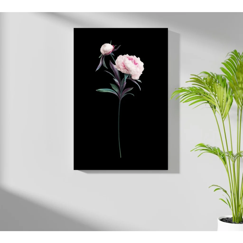 Minimalist pink peony with green leaves on black aluminum canvas print