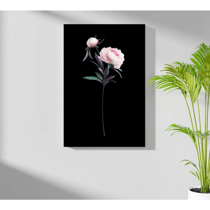Minimalist pink peony with green leaves on black aluminum canvas print