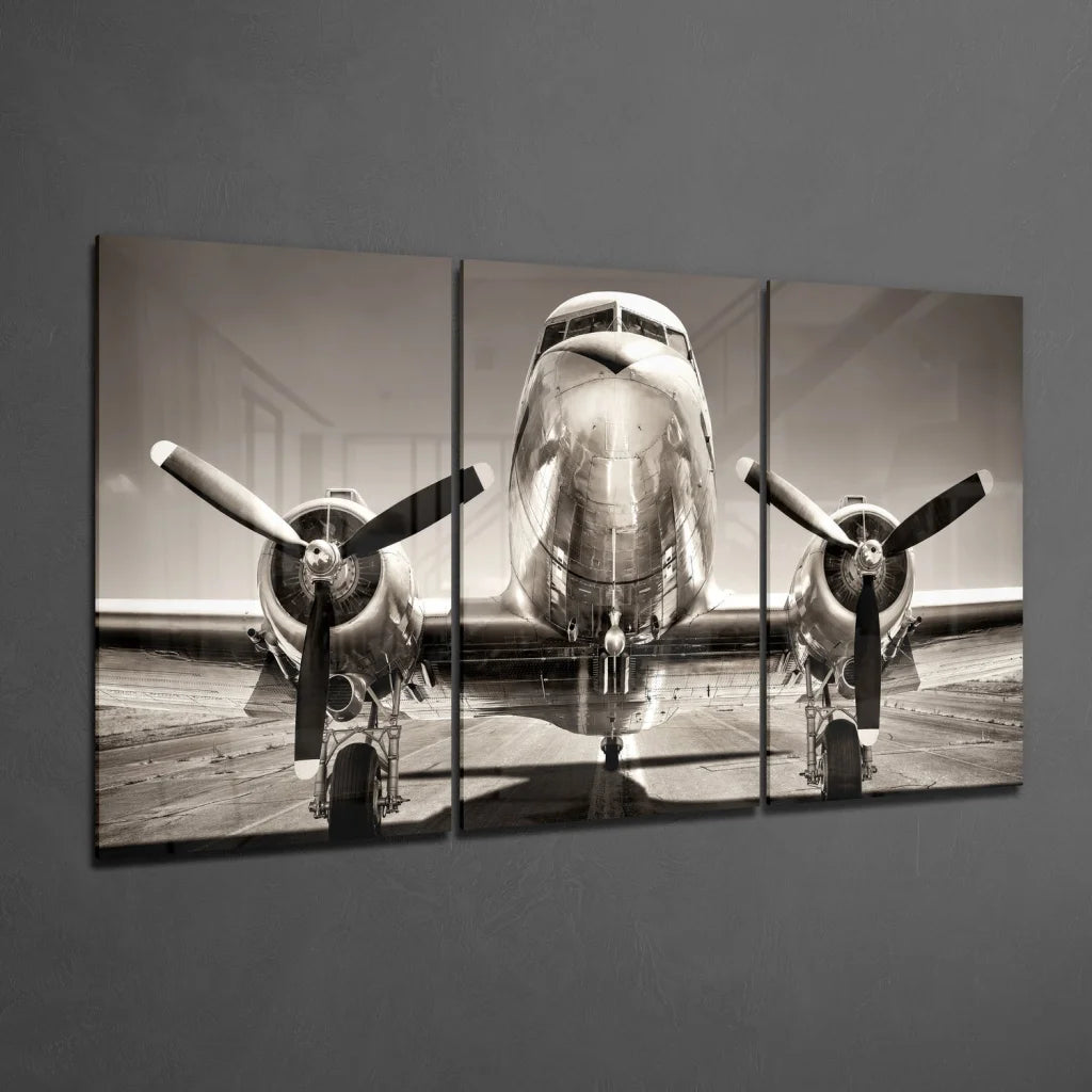 Black-and-white vintage propeller airplane insigne glass art triptych canvas print