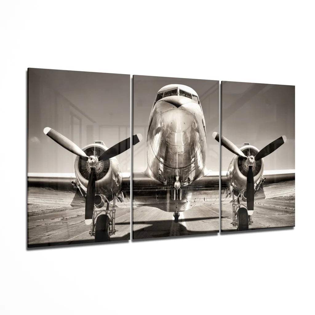 Vintage airplane insigne glass art triptych canvas print in black and white
