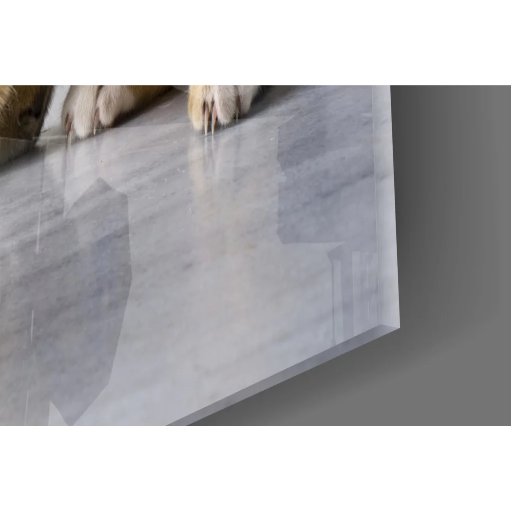 Playful tabby kitten with yarn on glossy white marble glass wall art