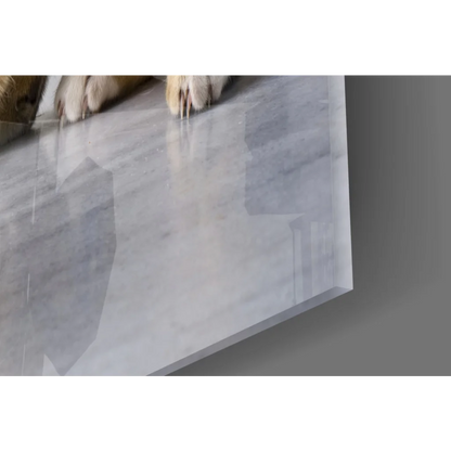 Playful tabby kitten with yarn on glossy white marble glass wall art