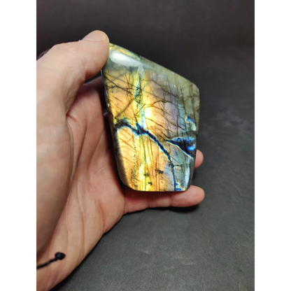 A hand holds a polished labradorite free form sculpture with vibrant golden yellow and deep blue iridescent patterns