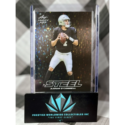 Prestige Worldwide Collectibles steel holographic football card