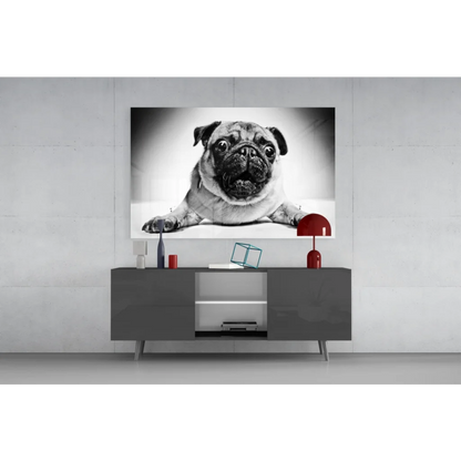 Black-and-white pug portrait canvas wall art with expressive eyes