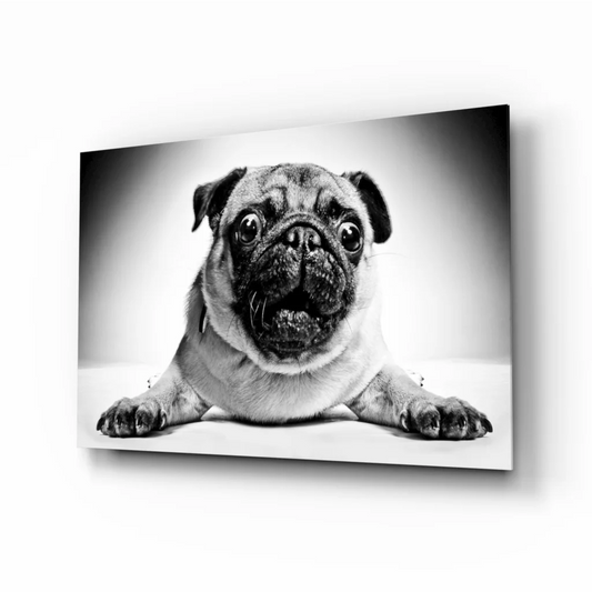 Adorable Pug Portrait Canvas Wall Art in Classic Black and White | Insigneart USA | vintageantiquesgifts.com