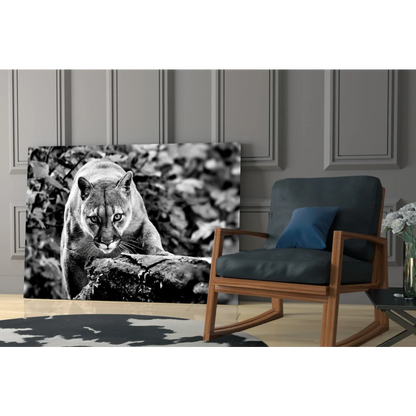 Black-and-white cougar wall art canvas print resting on log