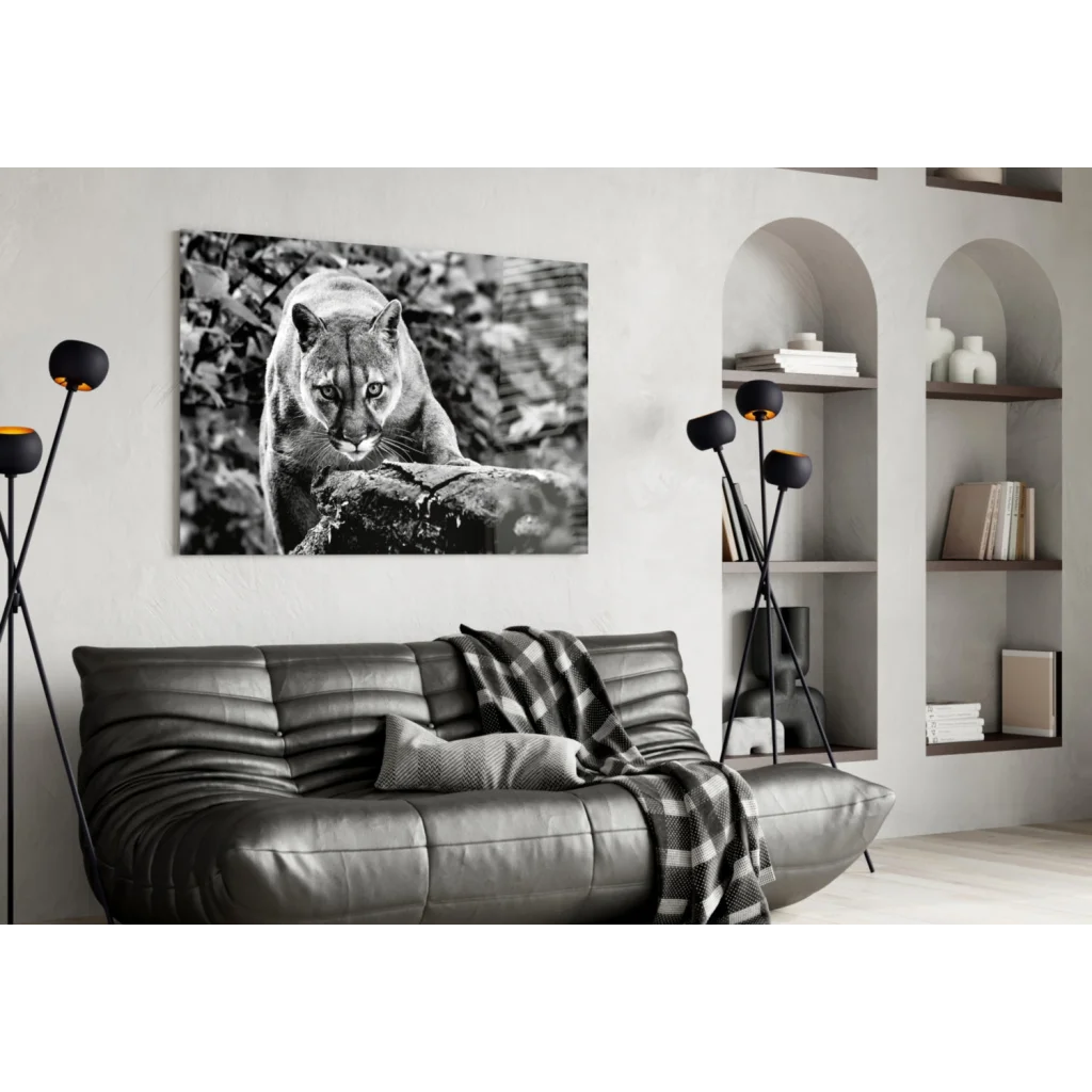 Fierce Cougar Canvas Wall Art in Stunning Black and White | Contemporary Home Wall Art | vintageantiquesgifts.com