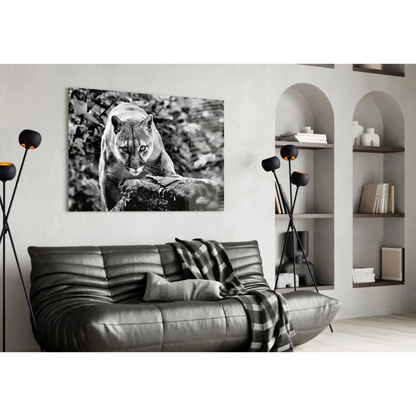 Fierce Cougar Canvas Wall Art in Stunning Black and White | Contemporary Home Wall Art | vintageantiquesgifts.com