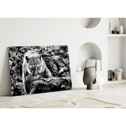 Fierce Cougar Canvas Wall Art in Stunning Black and White | Modern Wall Art Decor | vintageantiquesgifts.com