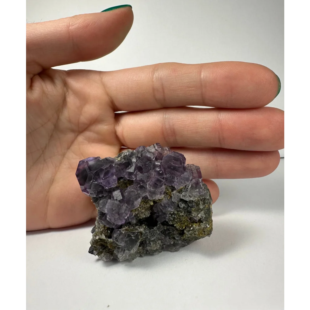 Hand holding vibrant purple dodecahedral fluorite crystal cluster from China
