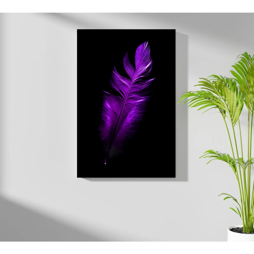 Vibrant purple feather on insigne aluminum prints black canvas art