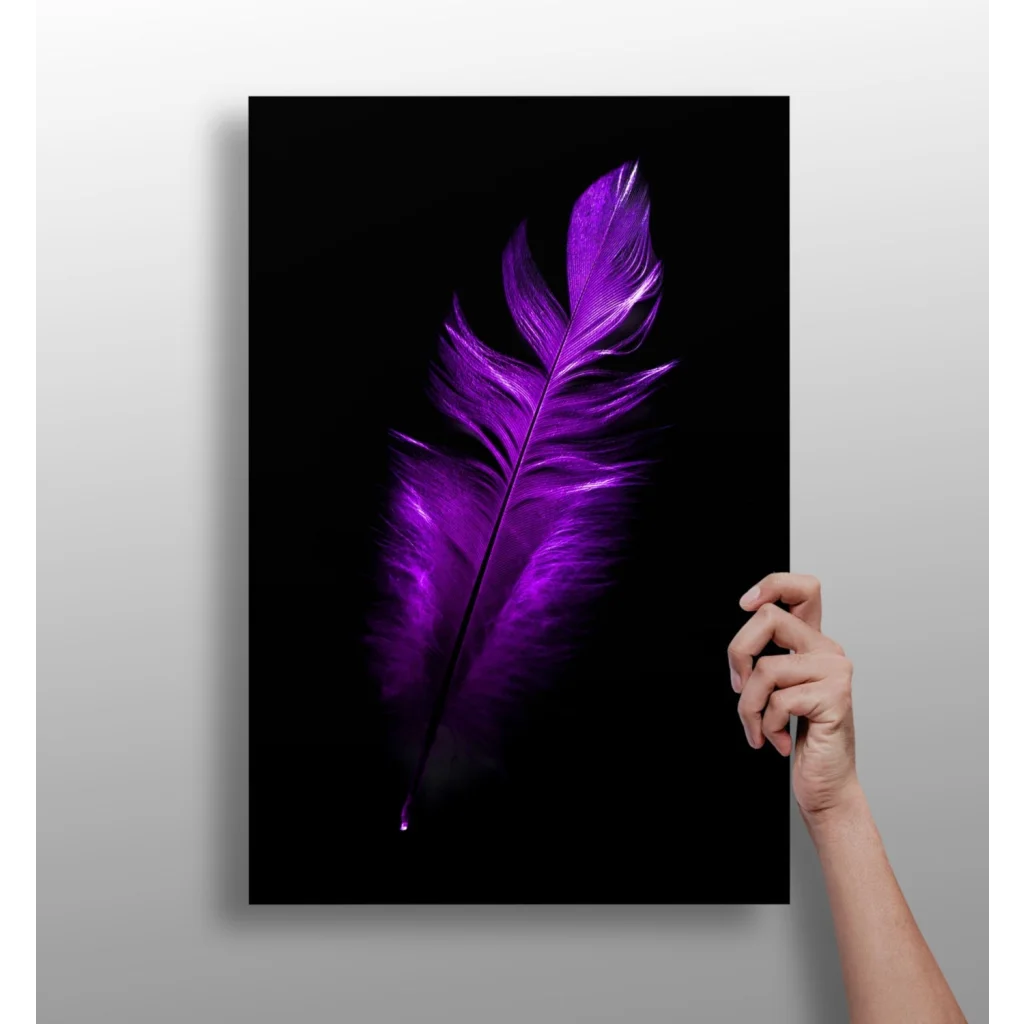 Vibrant purple feather insigne aluminum print on glossy black canvas