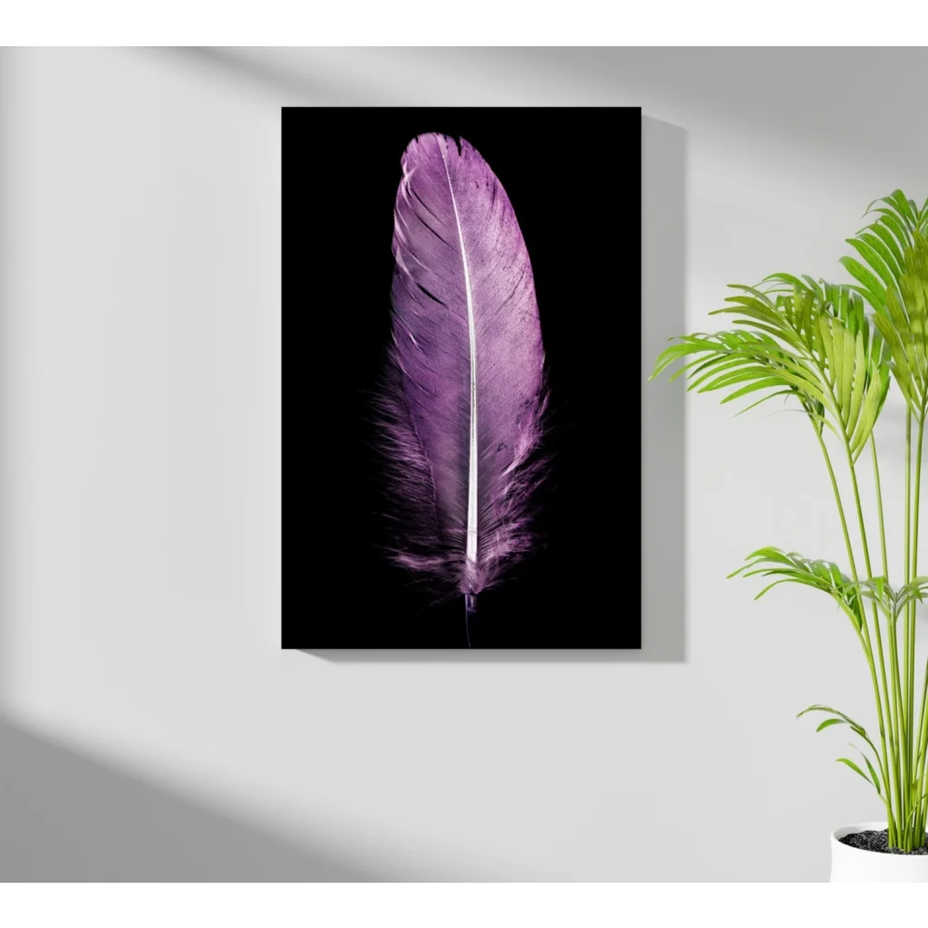 Purple Feather Aluminum Print Wall Art on black background