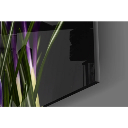 Stunning purple crocus glass wall art on black background TV reflection