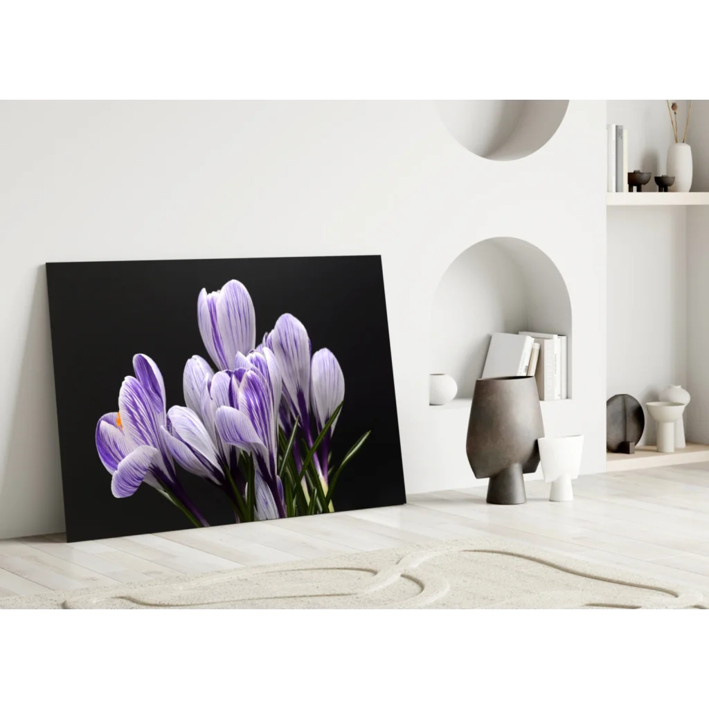 Stunning Purple Crocus Canvas Wall Art on Black Background | Modern Wall Art Decor | vintageantiquesgifts.com