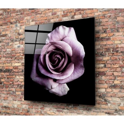 Stunning purple rose glass wall art with deep violet petals