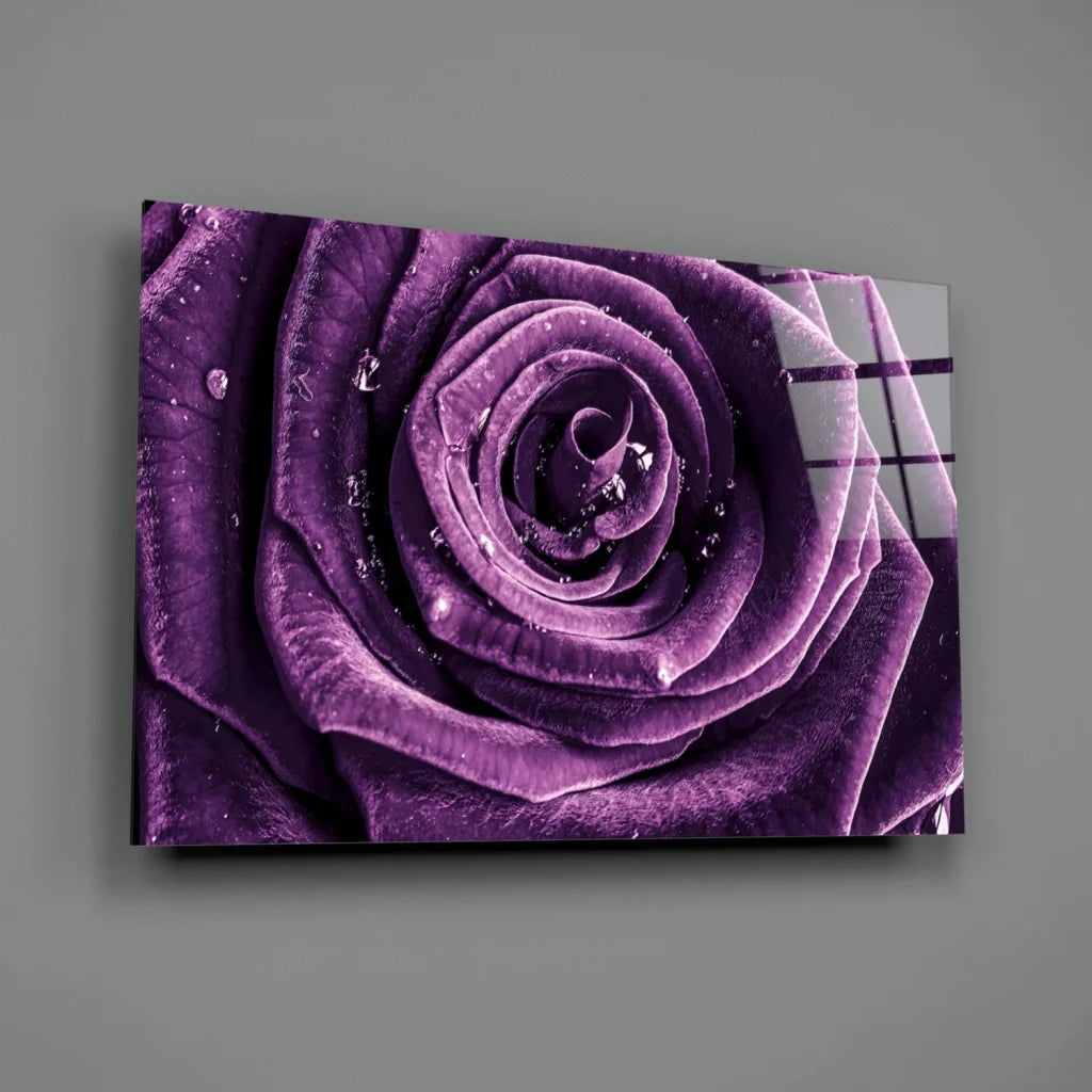 Purple Rose Dew Drops Glass Wall Art Print | Glass Wall Art Print | vintageantiquesgifts.com