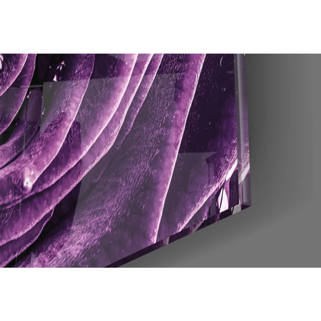 Purple Rose Dew Drops glass wall art: vivid rose petals on TV screen