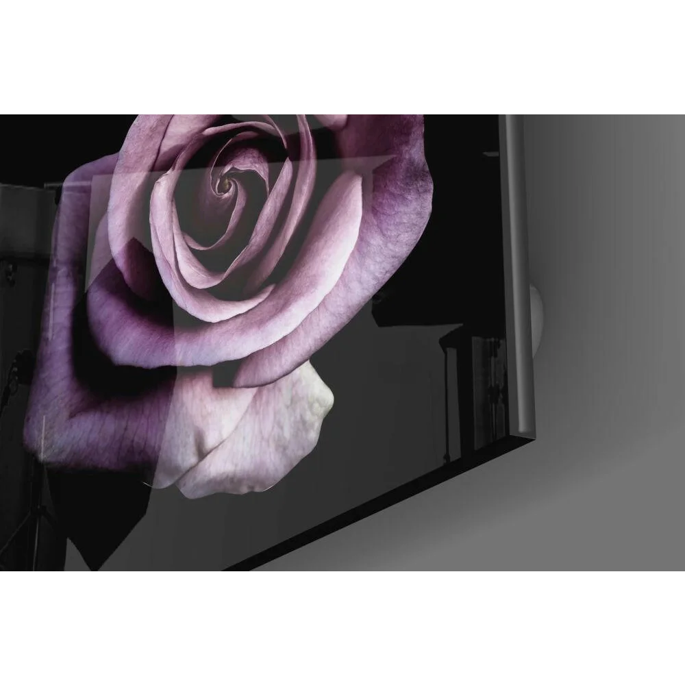 Stunning purple rose glass wall art with deep violet to lavender petals