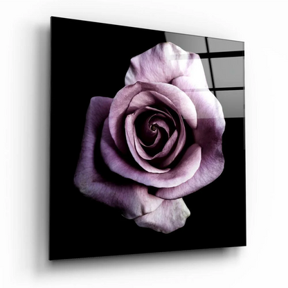 Stunning purple rose glass wall art with deep violet petals on black background