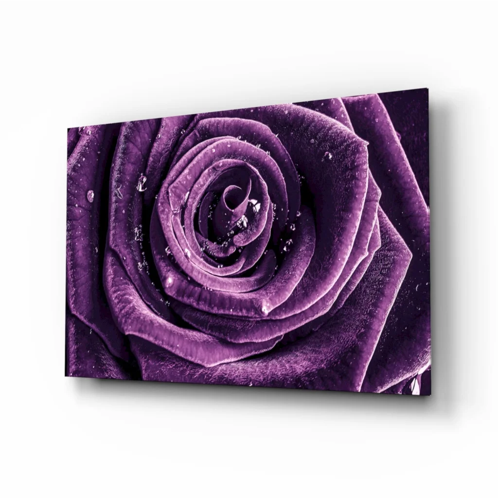 Purple Rose Dew Drops Glass Wall Art Print | Insigneart USA | vintageantiquesgifts.com