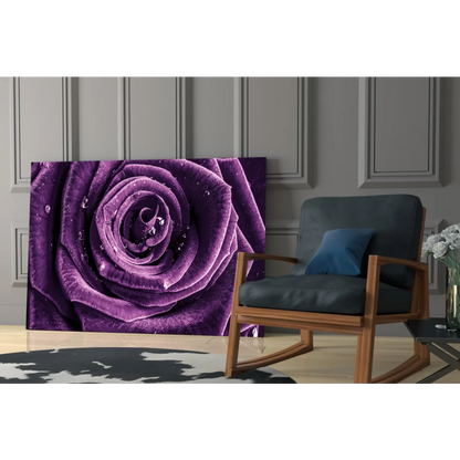Vibrant purple rose dew drops glass wall art print