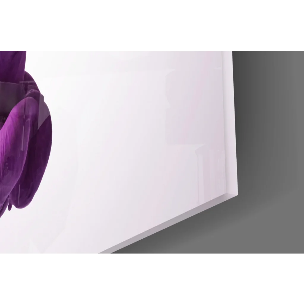 Stunning purple velvet orchid wall art print