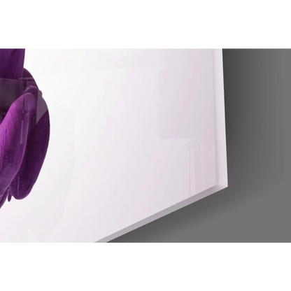 Stunning purple velvet orchid wall art print