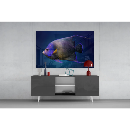 Vibrant blue and purple angelfish in navy glass wall art