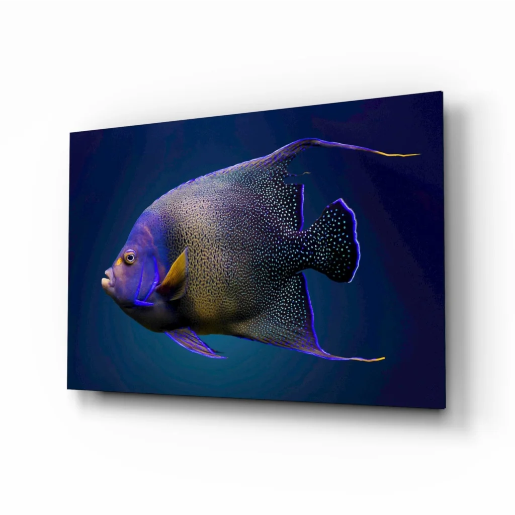 Stunning Angelfish Glass Wall Art in Vibrant Blue and Gold | Insigneart USA | vintageantiquesgifts.com