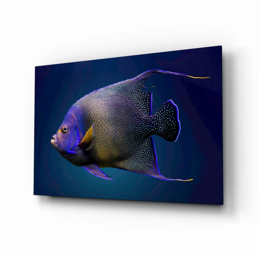 Vibrant blue and gold angelfish glass wall art on navy backdrop