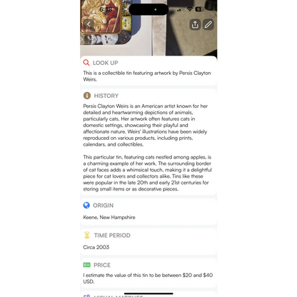 Collectible Persis Clayton Wiers quirky vintage cat tin for vintage cat tin enthusiasts