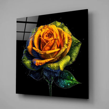 Vibrant rainbow rose tempered glass art with dew drops and size comparison