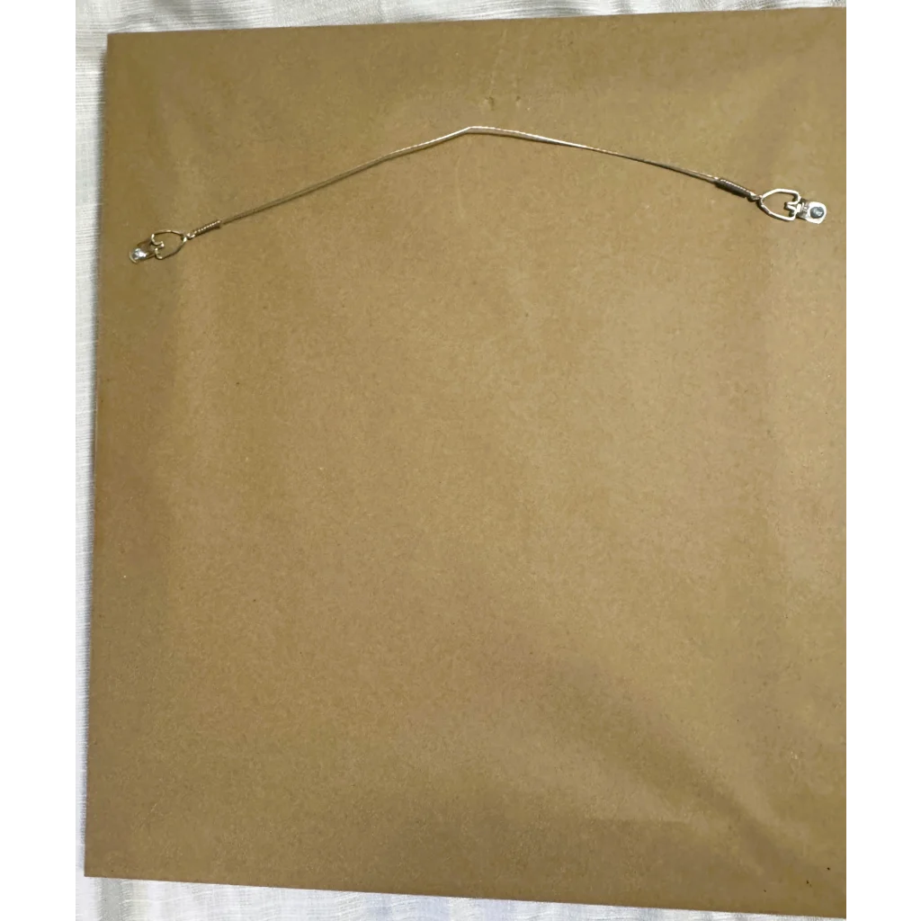 Back of framed Rare 1883 Jean Honore Fragonard etching limited edition artwork