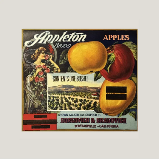 Vintage 1920s appleton crate label adds antique charm to your collection
