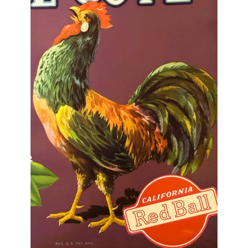 Rare 1930s Klink Citrus Orange Crate Label – Vintage and Antique Gifts