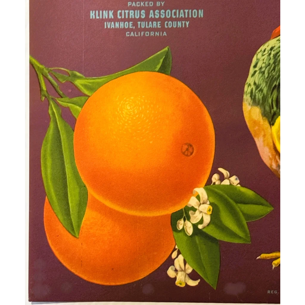 Rare 1930s Klink Citrus Orange Crate Label – Vintage and Antique Gifts